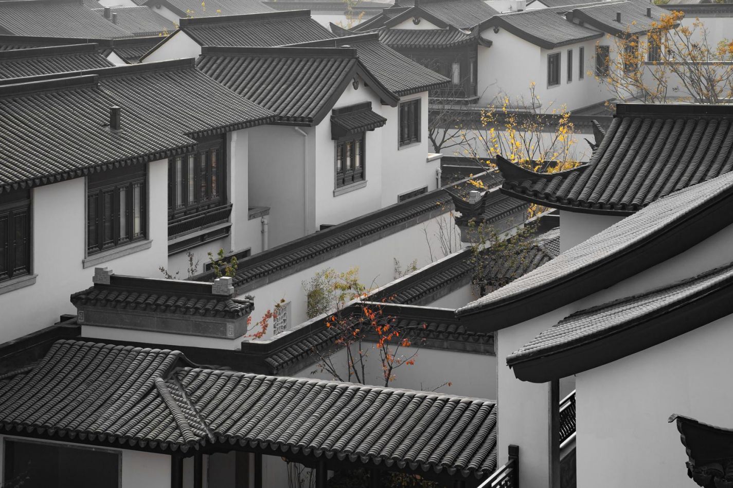 尊龙集团 (中国区)官方网站