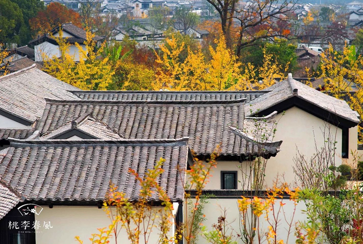 尊龙集团 (中国区)官方网站