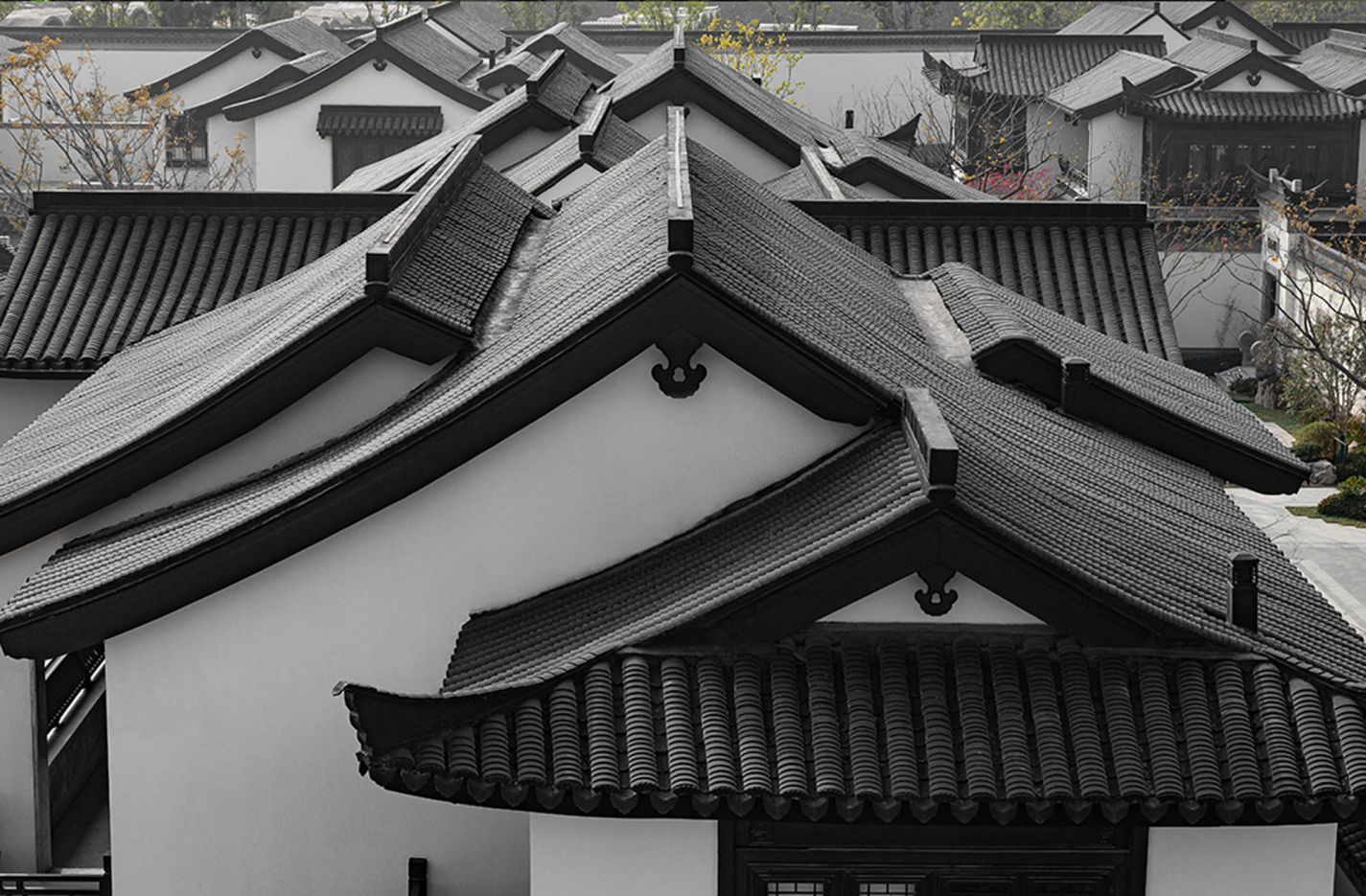 尊龙集团 (中国区)官方网站